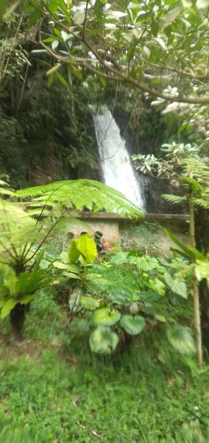 Hidayah Homestay Kelimutu Εξωτερικό φωτογραφία
