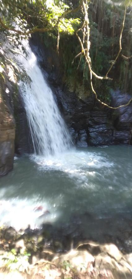 Hidayah Homestay Kelimutu Εξωτερικό φωτογραφία