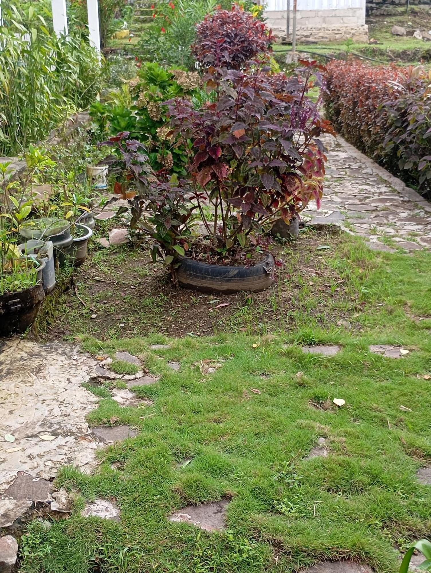 Hidayah Homestay Kelimutu Εξωτερικό φωτογραφία