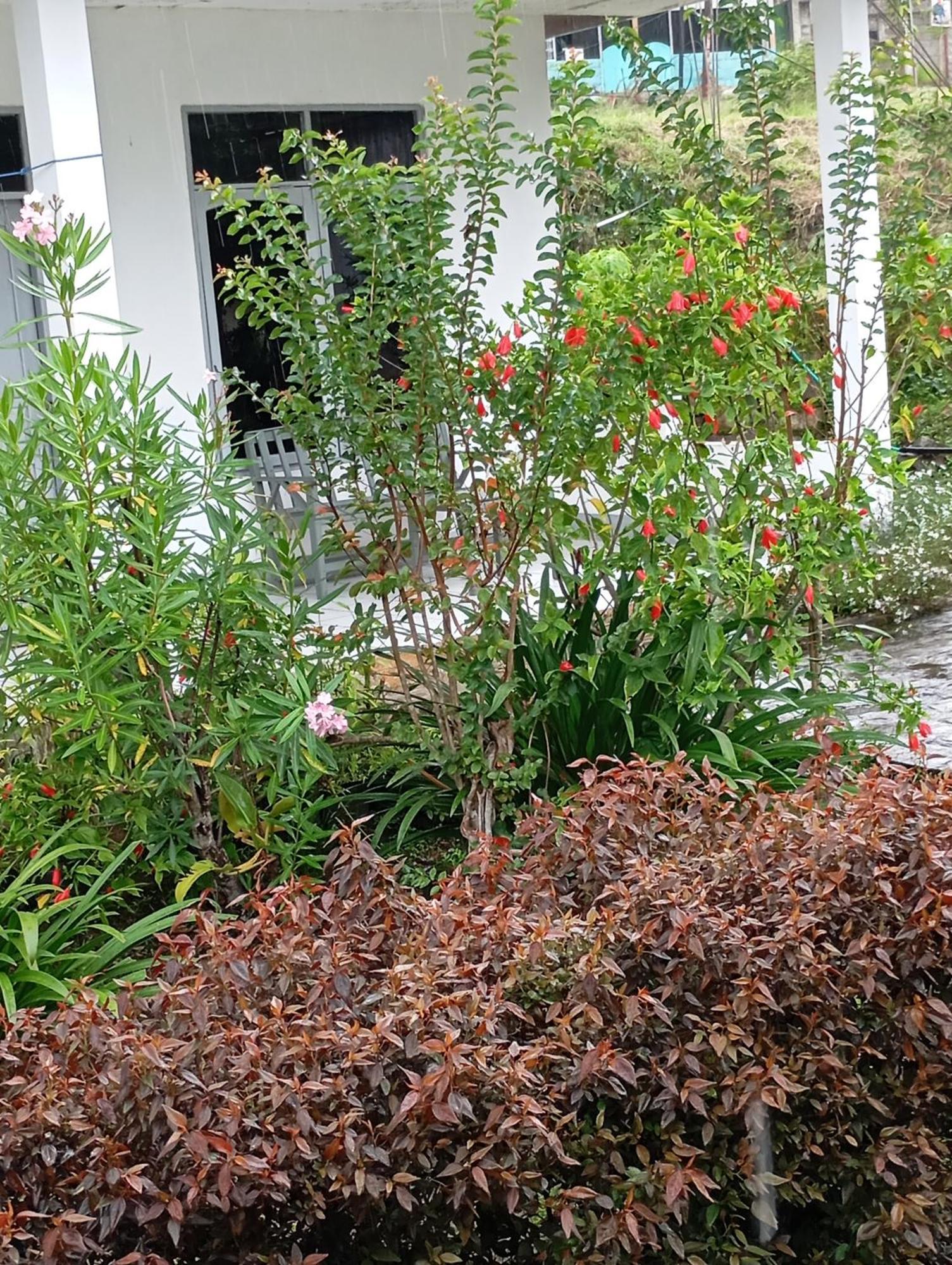 Hidayah Homestay Kelimutu Εξωτερικό φωτογραφία